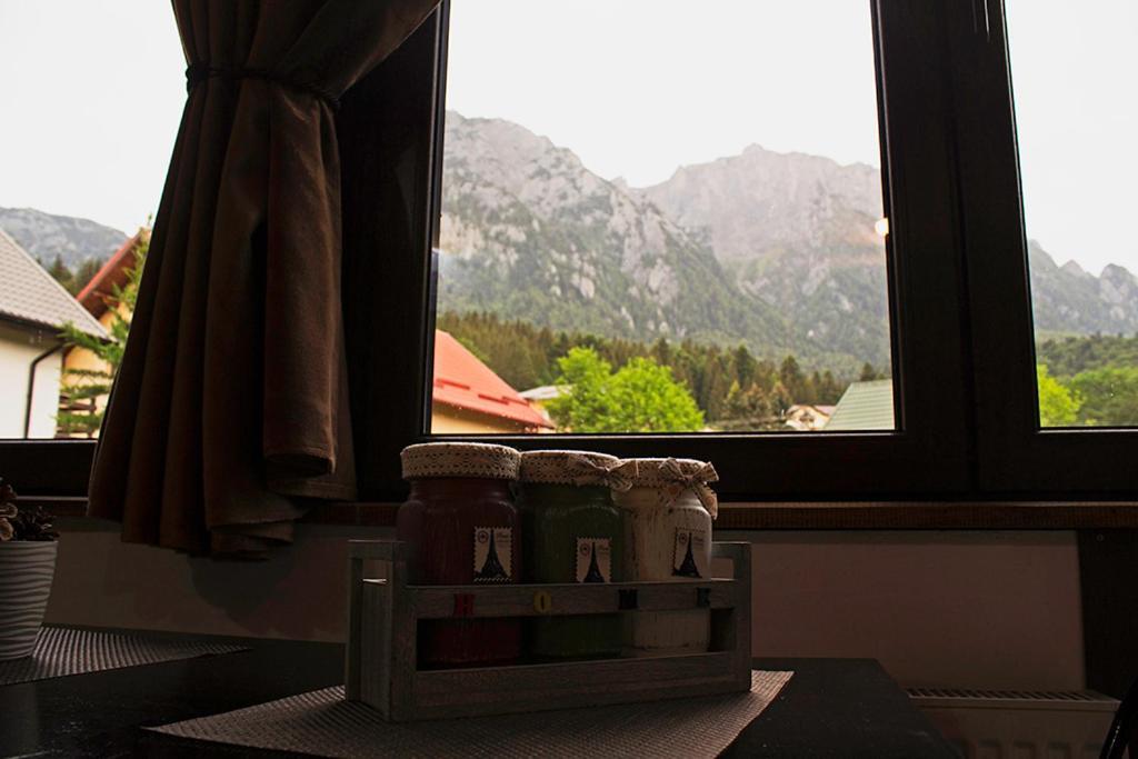 Apartament Mountain Life Buşteni エクステリア 写真