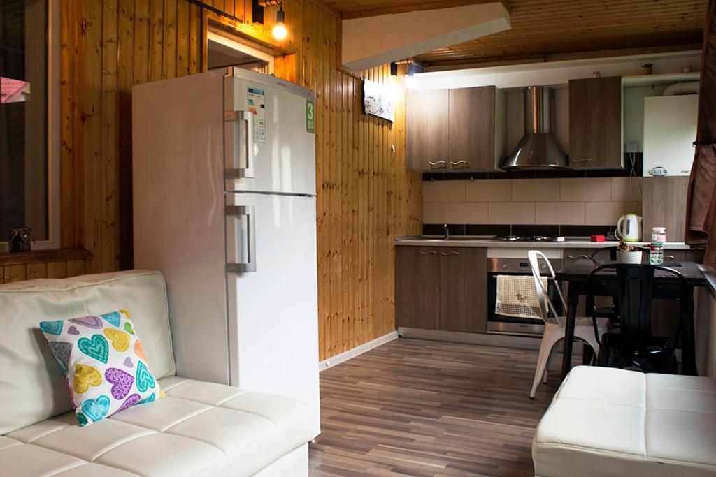 Apartament Mountain Life Buşteni エクステリア 写真