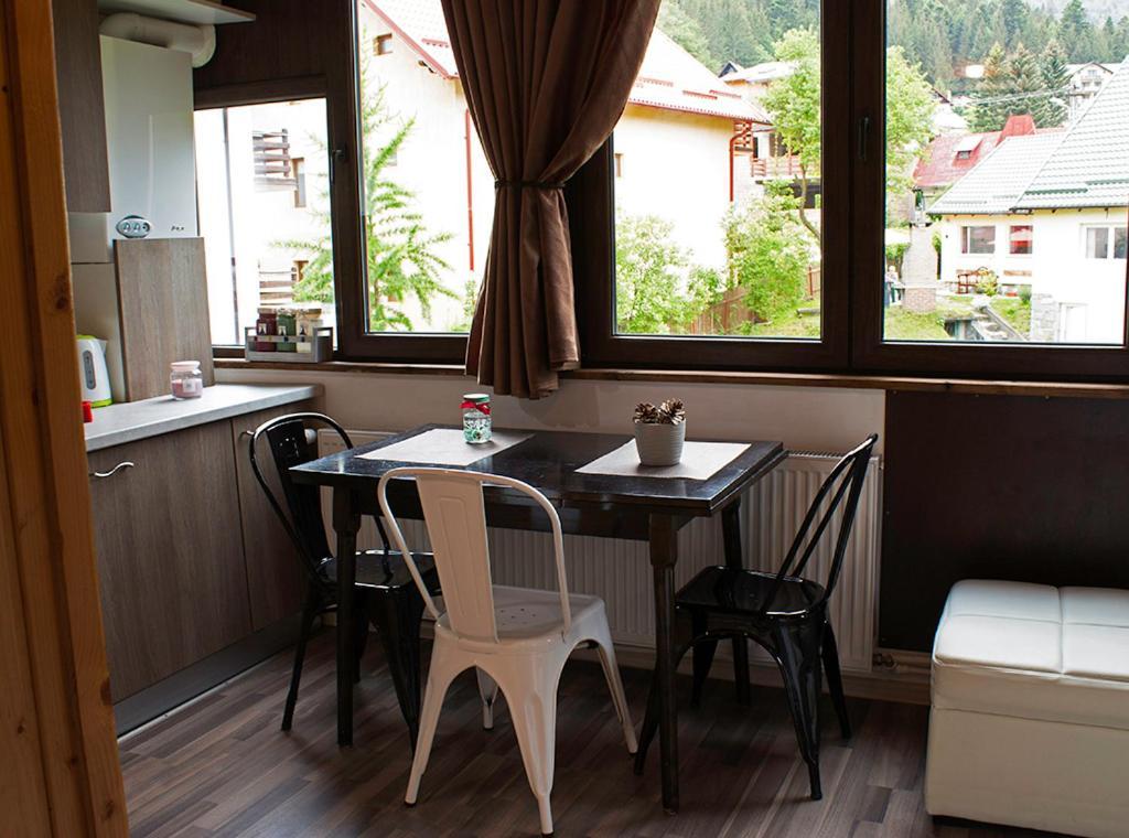 Apartament Mountain Life Buşteni エクステリア 写真